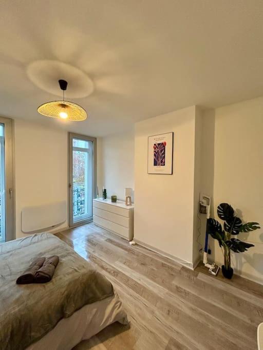 Le Douillet, Proche Gare Et Metro Apartment Toulouse Exterior foto